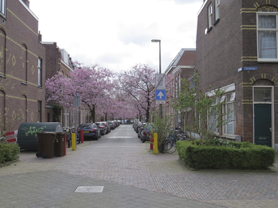 906864 Gezicht in de Valkstraat te Utrecht, met bloeiende prunussen, vanaf het Koekoeksplein.
